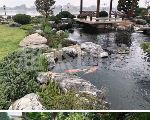 广东批发泰山石 镇宅风水石与庭院假山造景的理想选择