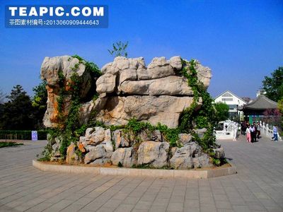自然之韵，匠心之作 浅谈假山的艺术与文化内涵